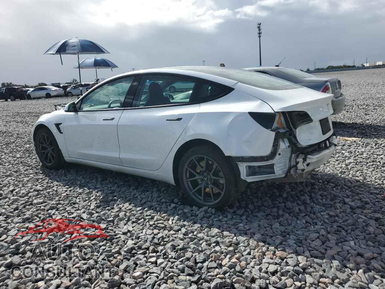 TESLA MODEL 3 2021 - 5YJ3E1EA8MF090818
