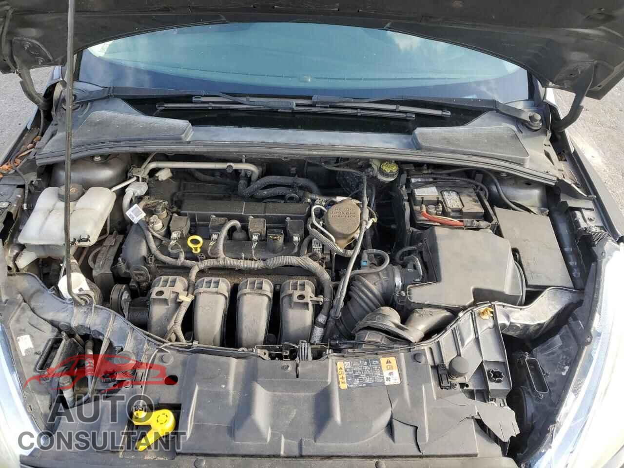 FORD FOCUS 2016 - 1FADP3E28GL296621