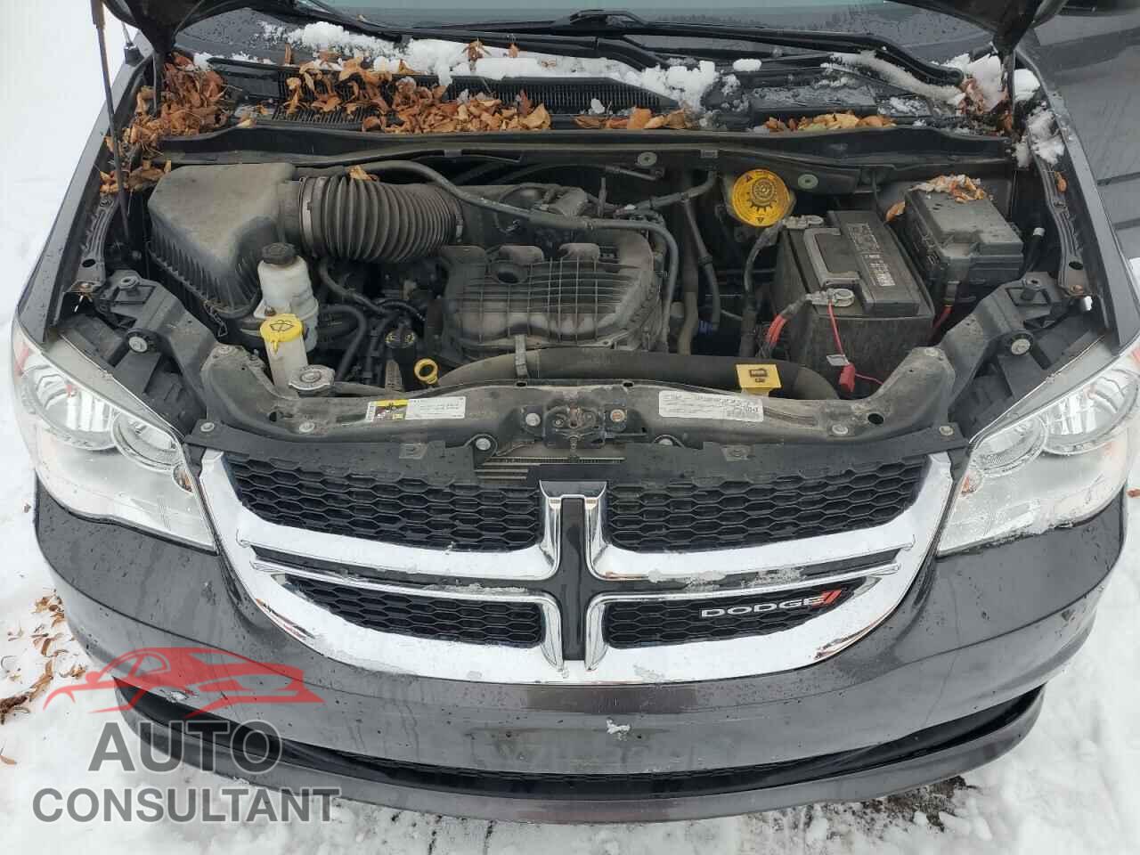 DODGE CARAVAN 2016 - 2C4RDGBG6GR106418