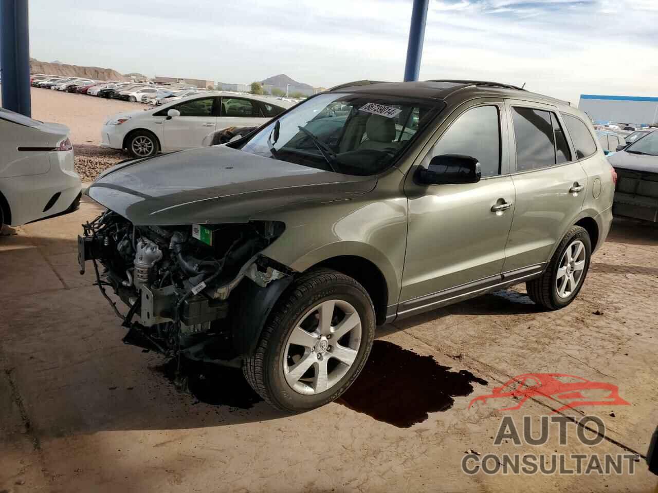 HYUNDAI SANTA FE 2009 - 5NMSH13E09H332953