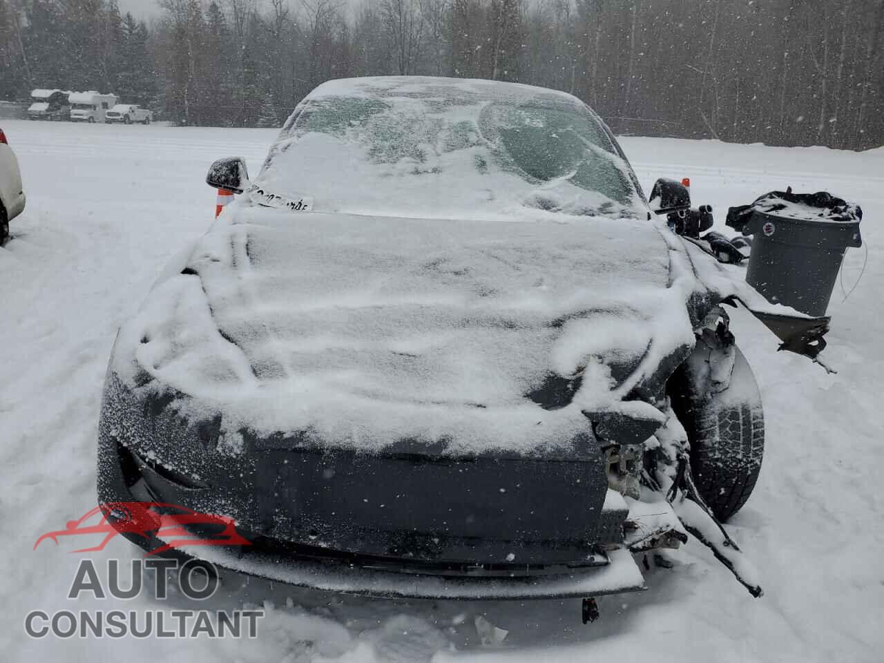 TESLA MODEL 3 2022 - 5YJ3E1EA4NF151969