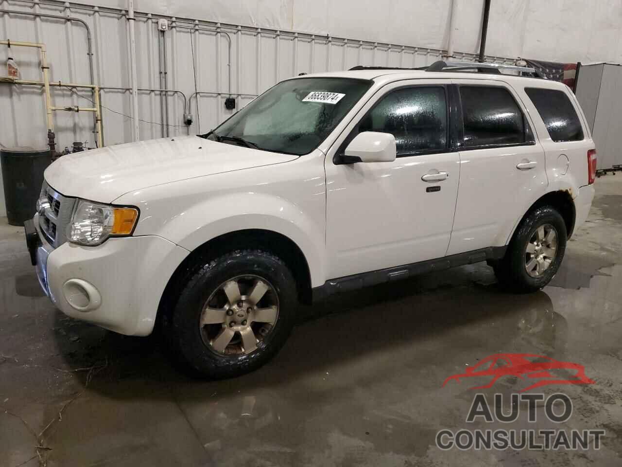 FORD ESCAPE 2011 - 1FMCU0EGXBKC52669
