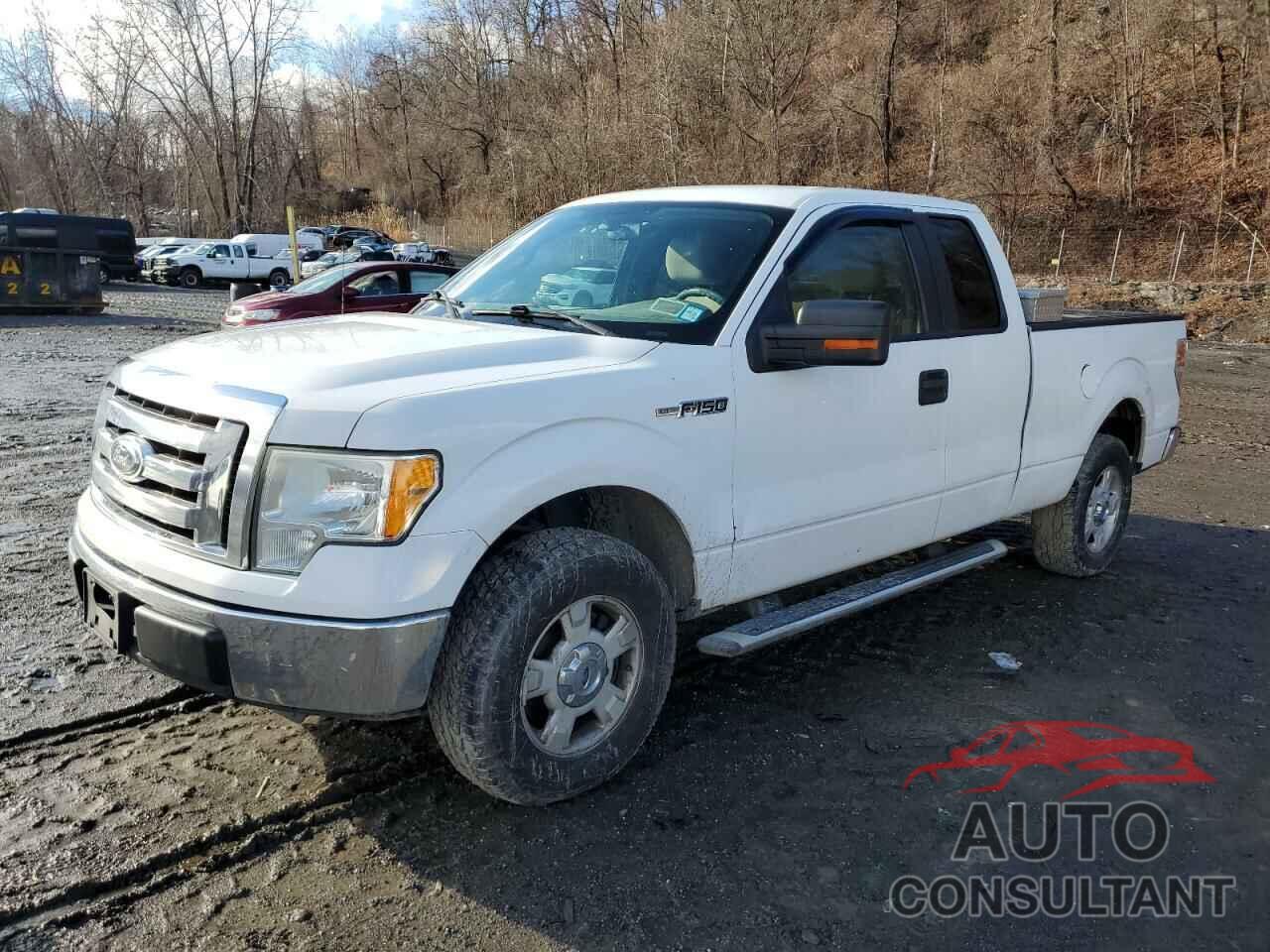 FORD F-150 2010 - 1FTEX1C82AKE80234