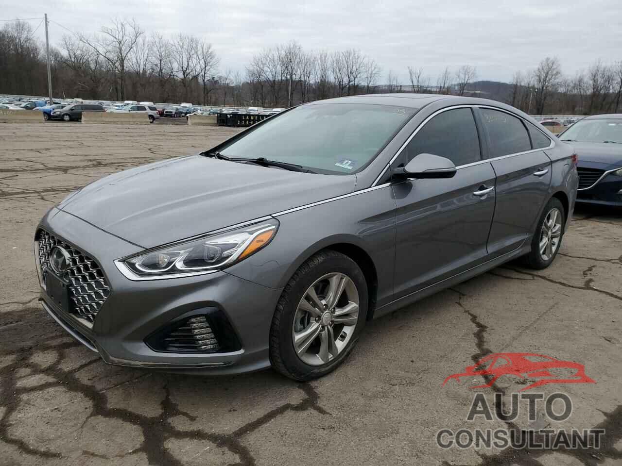 HYUNDAI SONATA 2019 - 5NPE34AF6KH817065