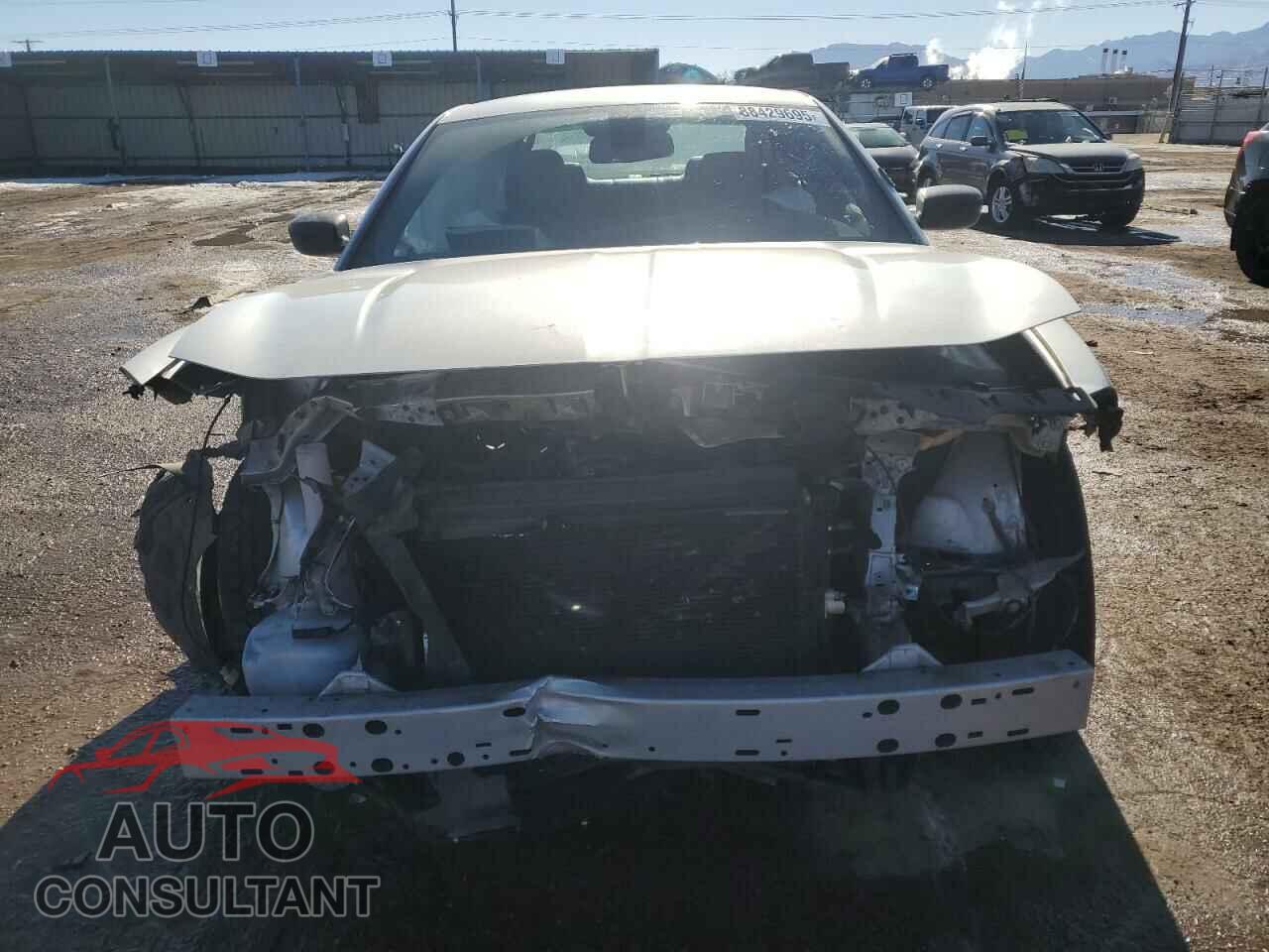 DODGE CHARGER 2017 - 2C3CDXKTXHH609772