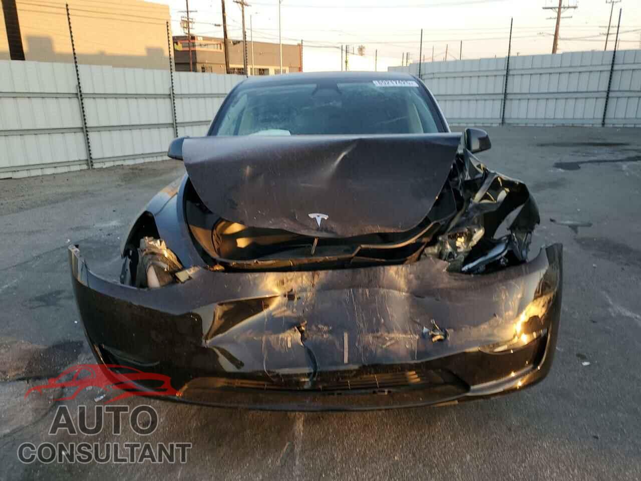 TESLA MODEL Y 2024 - 7SAYGDED1RF132087