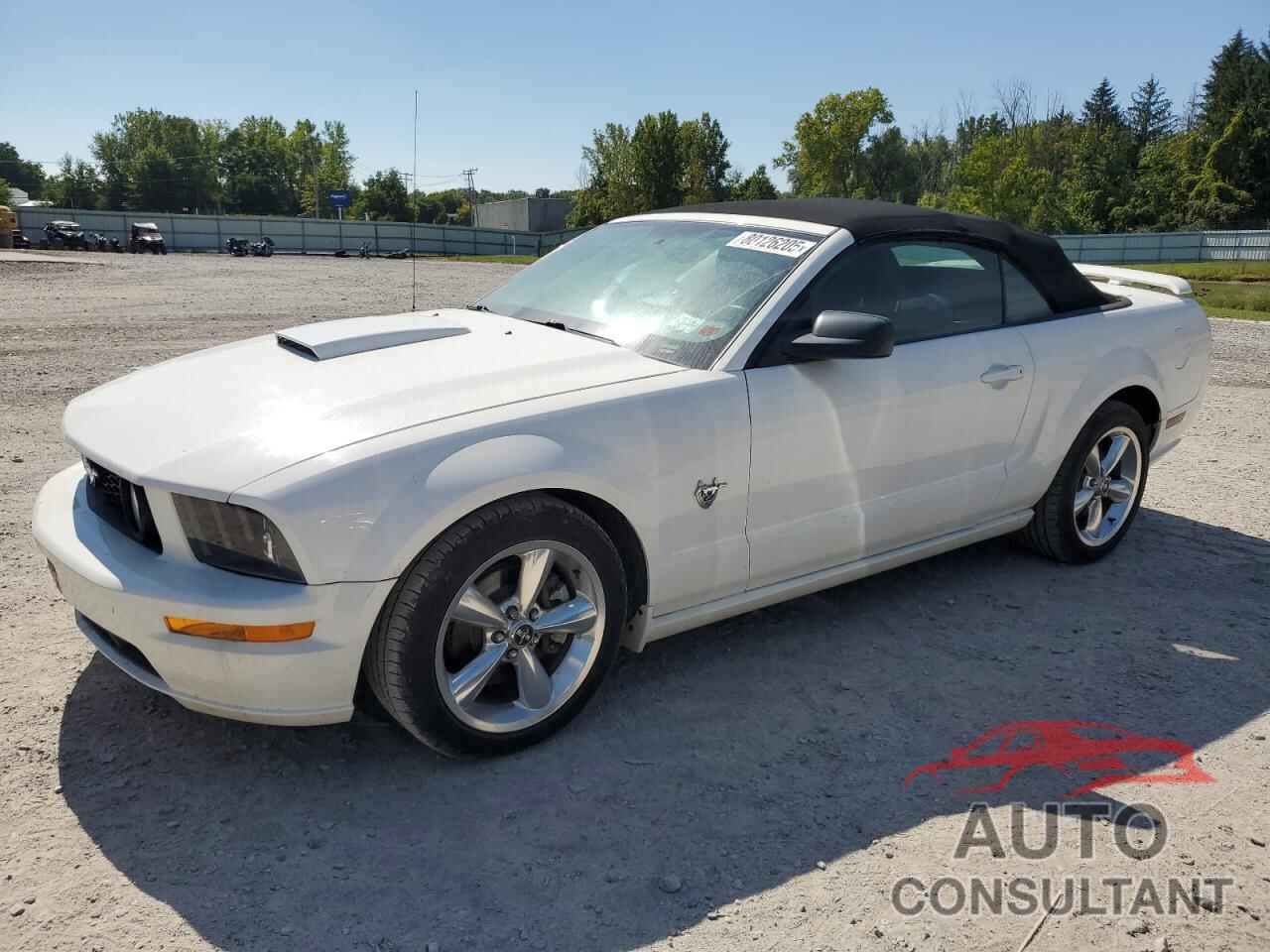 FORD MUSTANG 2009 - 1ZVHT85HX95109148