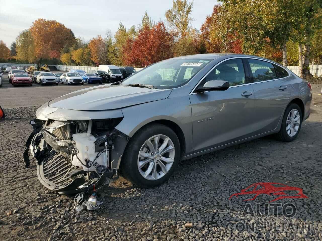 CHEVROLET MALIBU 2024 - 1G1ZD5STXRF119466