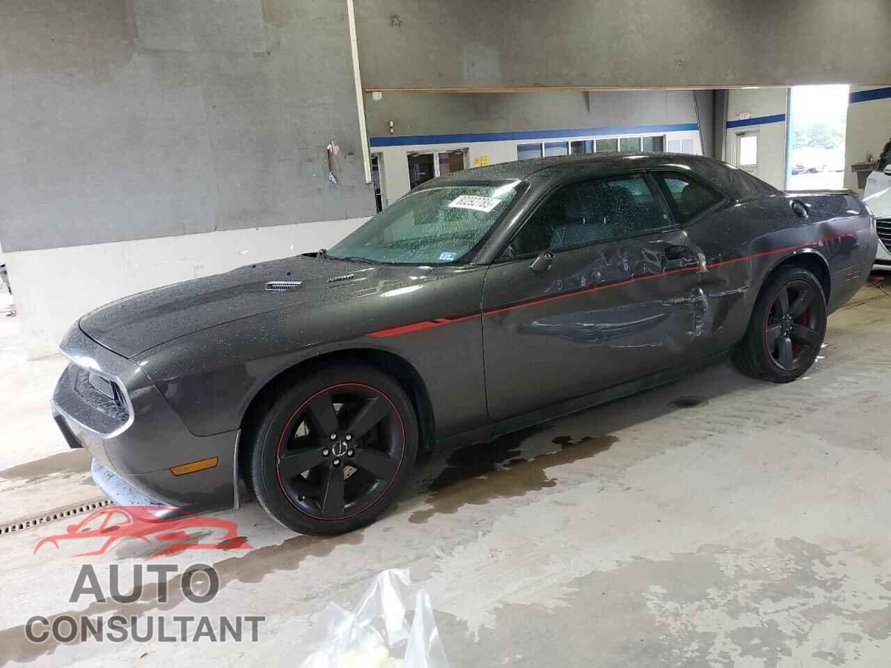 DODGE CHALLENGER 2013 - 2C3CDYBTXDH667994