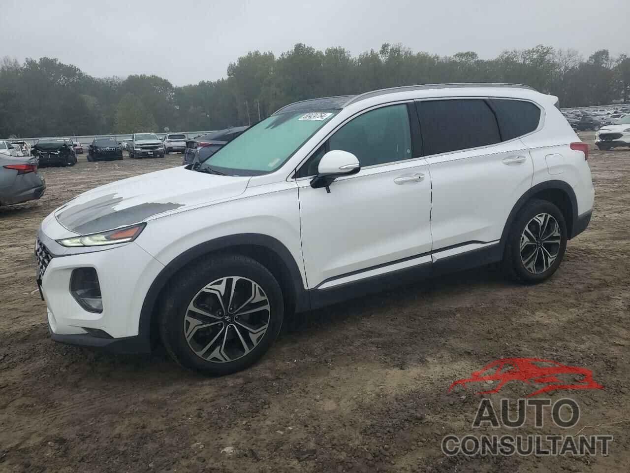 HYUNDAI SANTA FE 2019 - 5NMS5CAA7KH027217