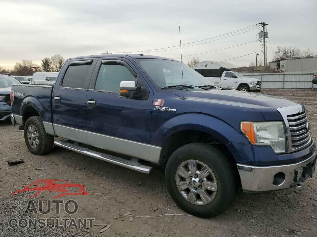 FORD F-150 2010 - 1FTFW1EV7AFB47238