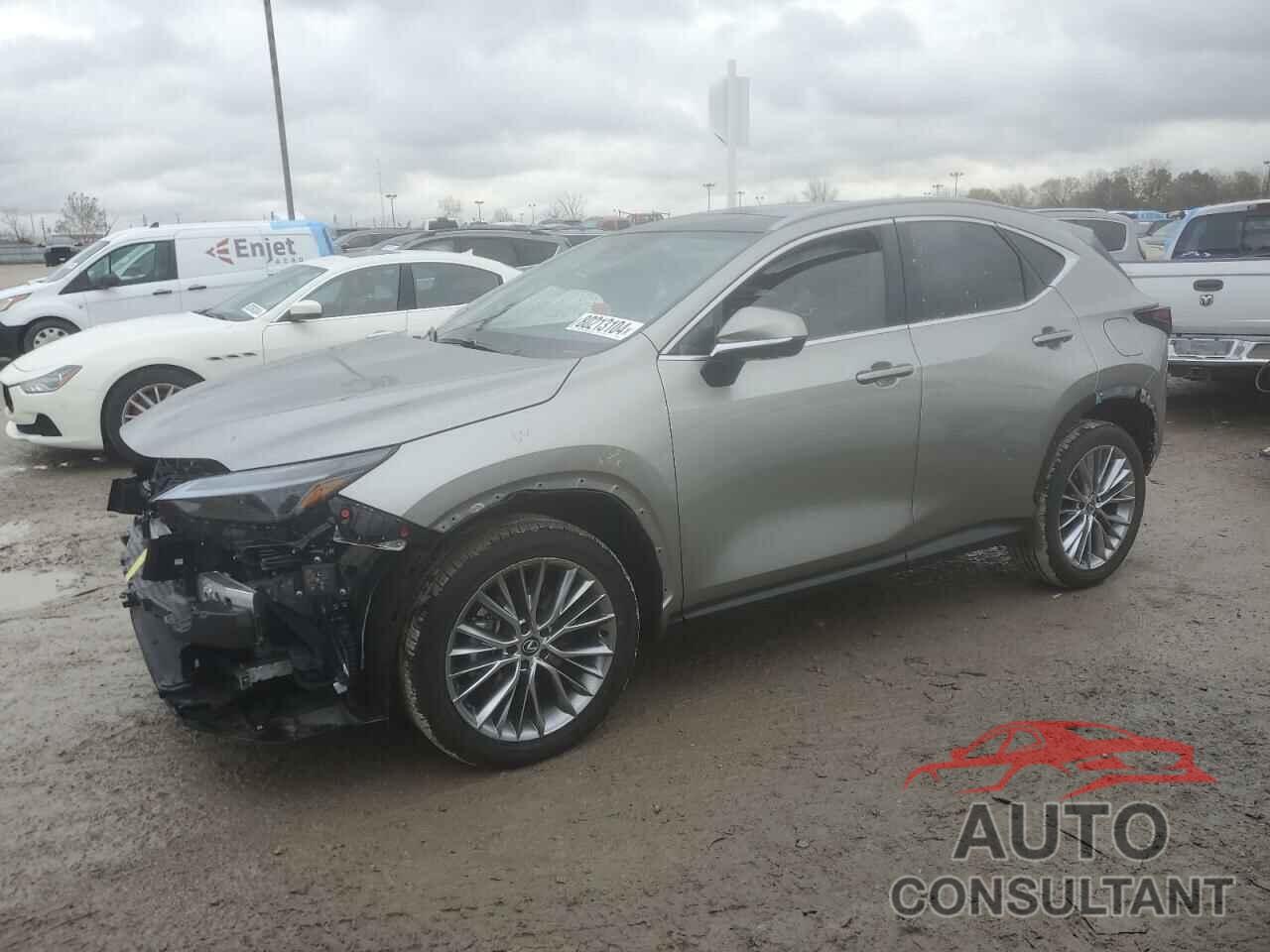 LEXUS NX 350H BA 2024 - 2T2HKCEZ4RC027142