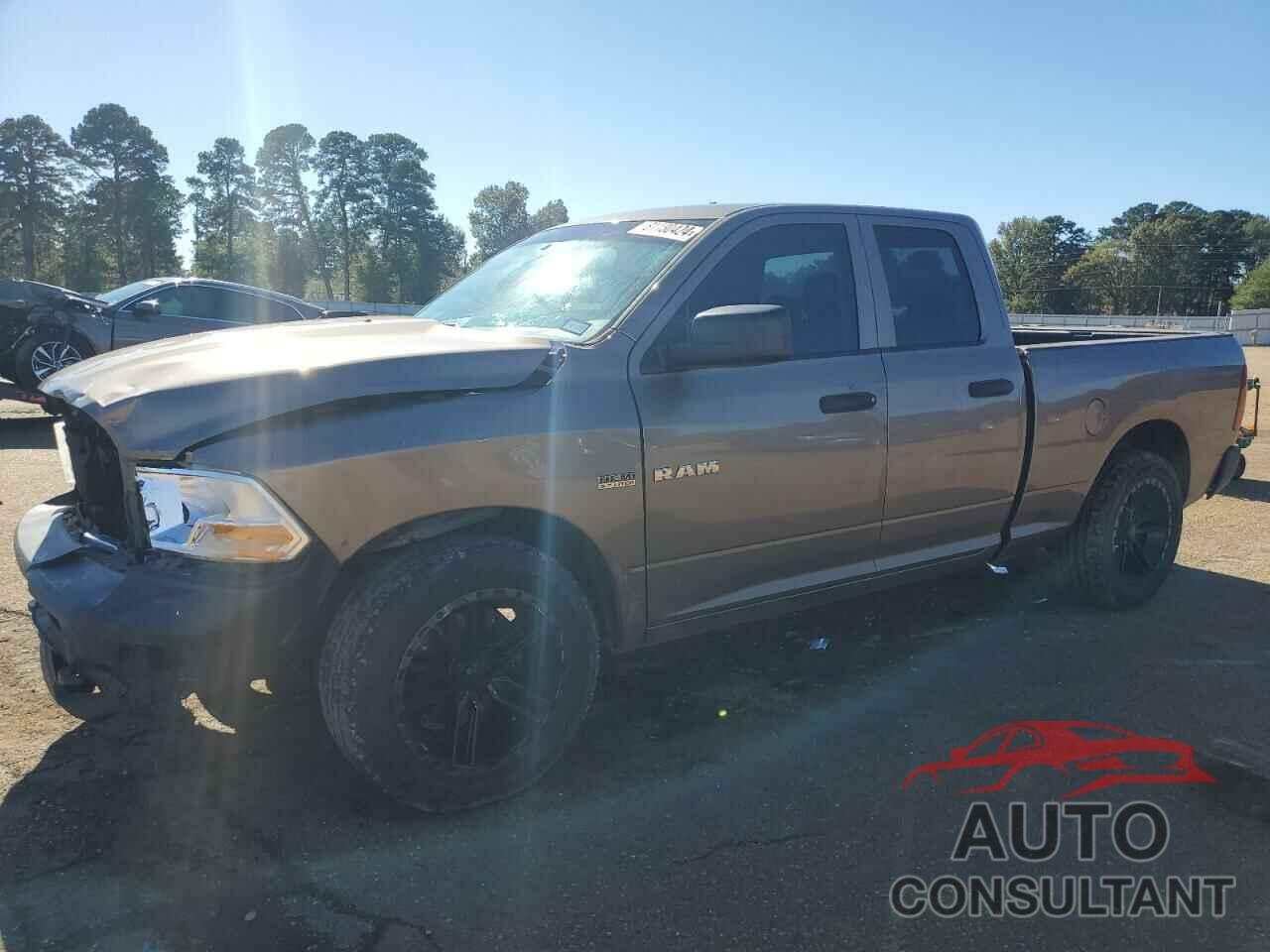 DODGE All Models 2010 - 1D7RB1GTXAS247402