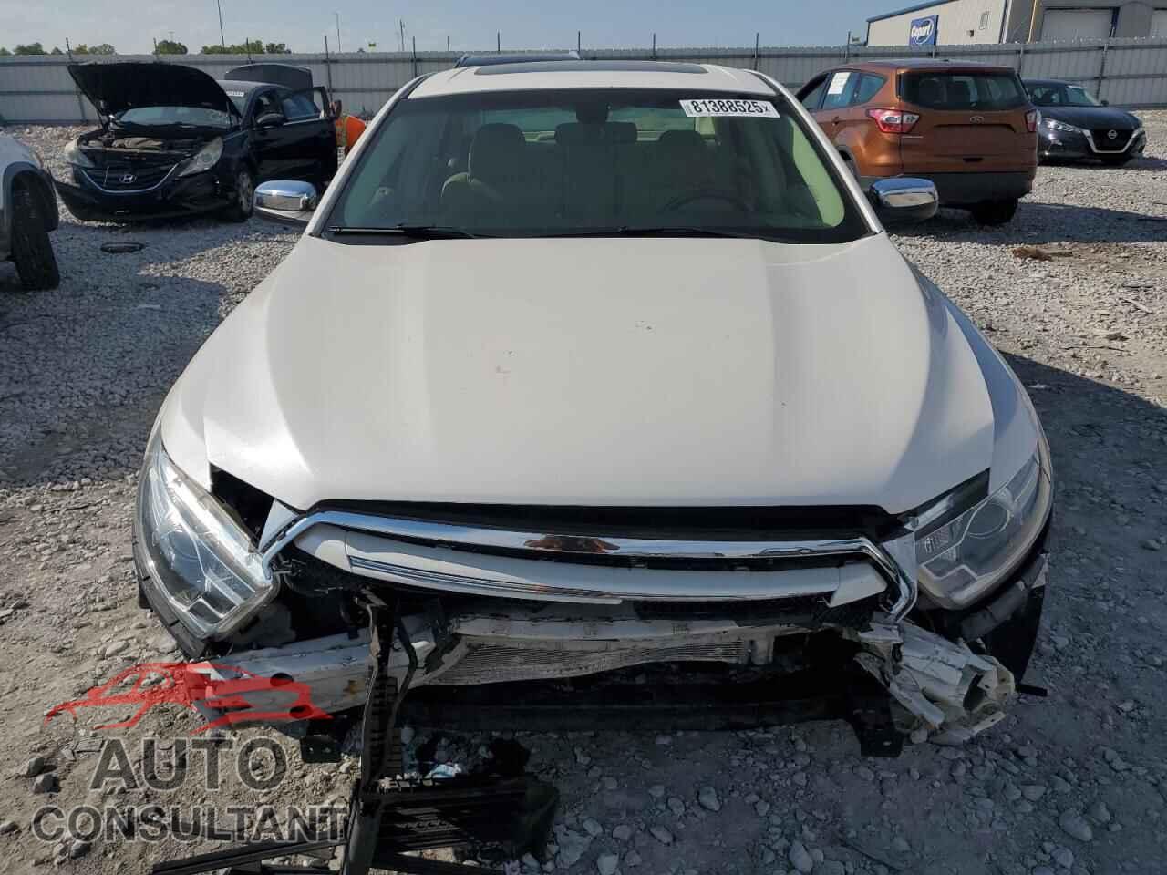 FORD TAURUS 2016 - 1FAHP2F81GG105046