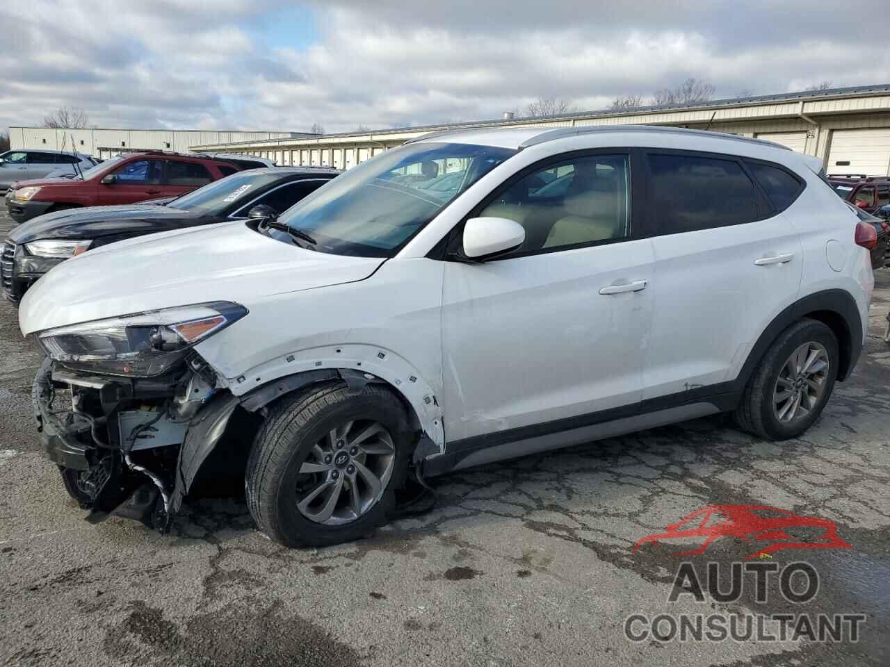 HYUNDAI TUCSON 2017 - KM8J33A41HU567798