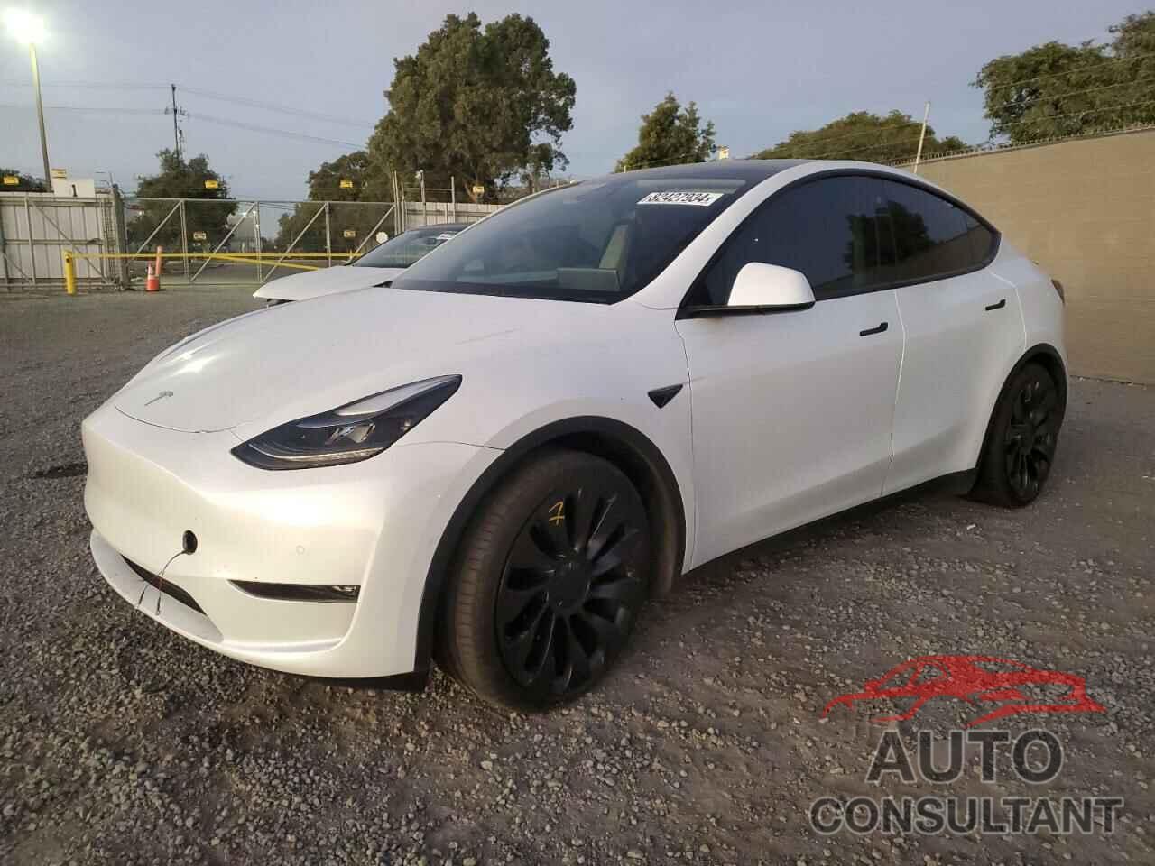 TESLA MODEL Y 2022 - 7SAYGDEF7NF491150