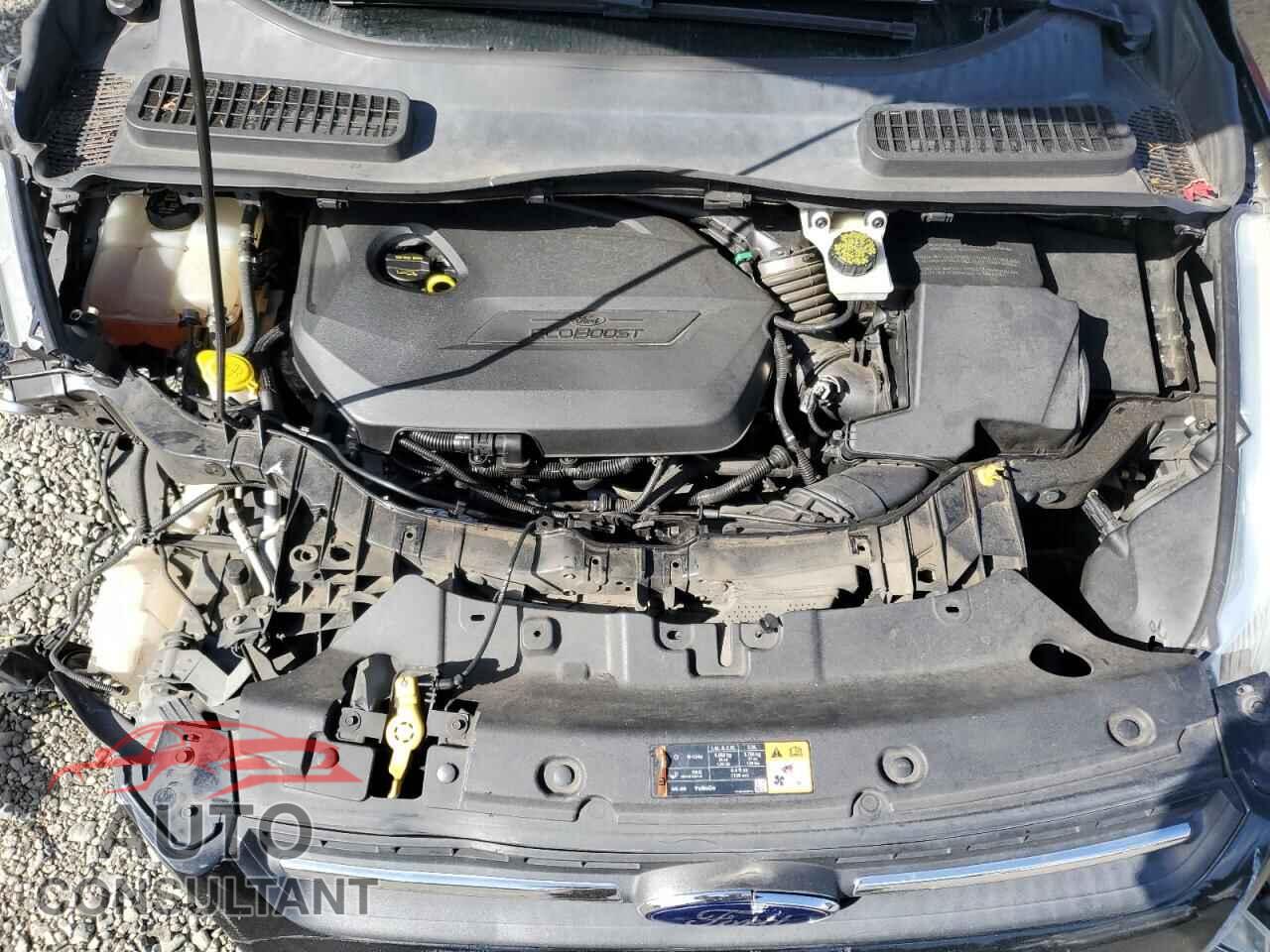 FORD ESCAPE 2014 - 1FMCU0GX4EUA52263