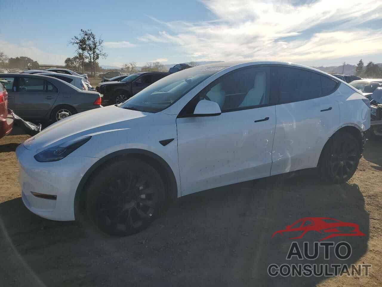 TESLA MODEL Y 2023 - 7SAYGDEE5PF639614