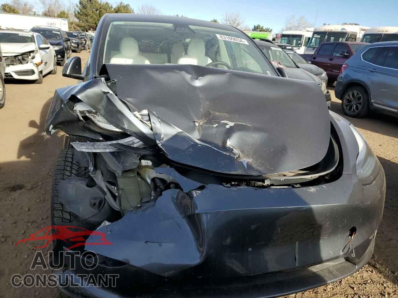 TESLA MODEL Y 2022 - 7SAYGAEE9NF339411