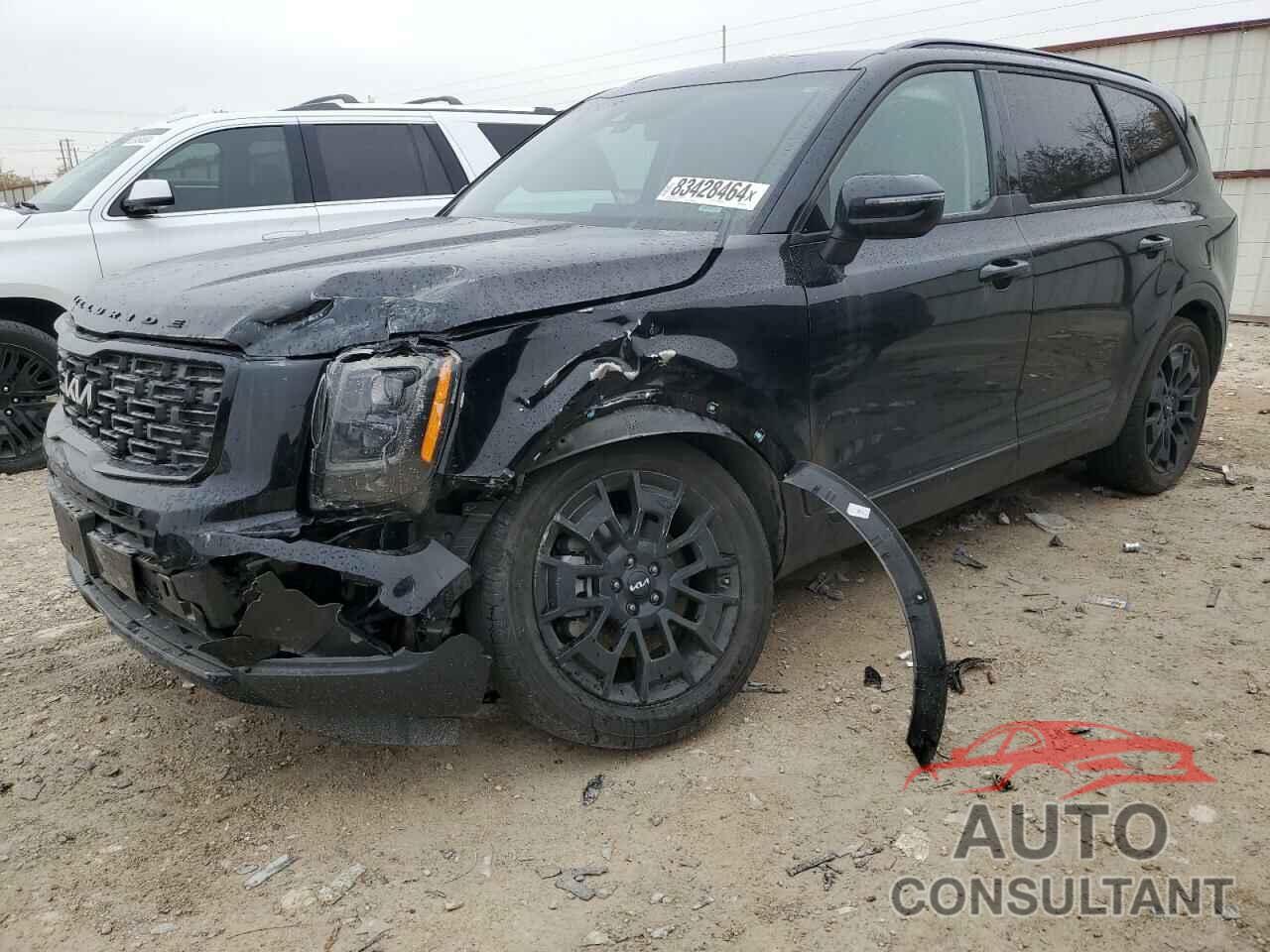 KIA TELLURIDE 2022 - 5XYP3DHC8NG242208