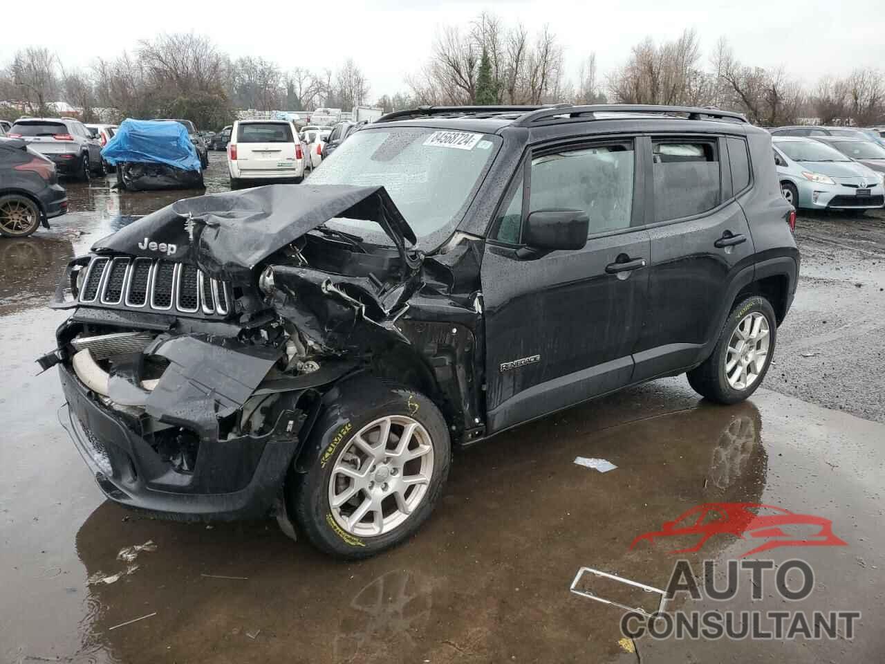 JEEP RENEGADE 2019 - ZACNJBAB2KPK81100