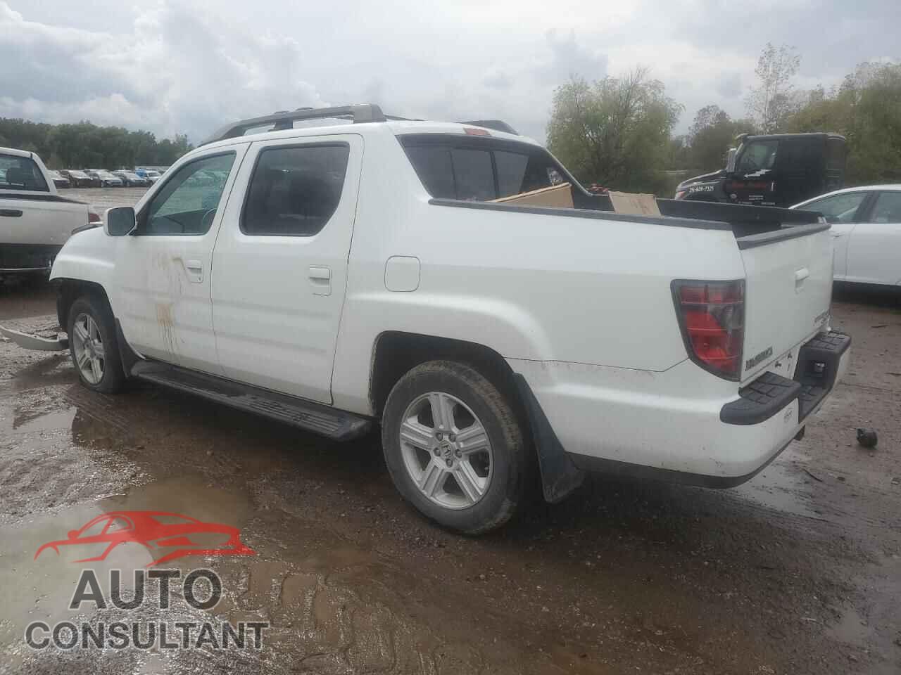 HONDA RIDGELINE 2014 - 5FPYK1F56EB004351