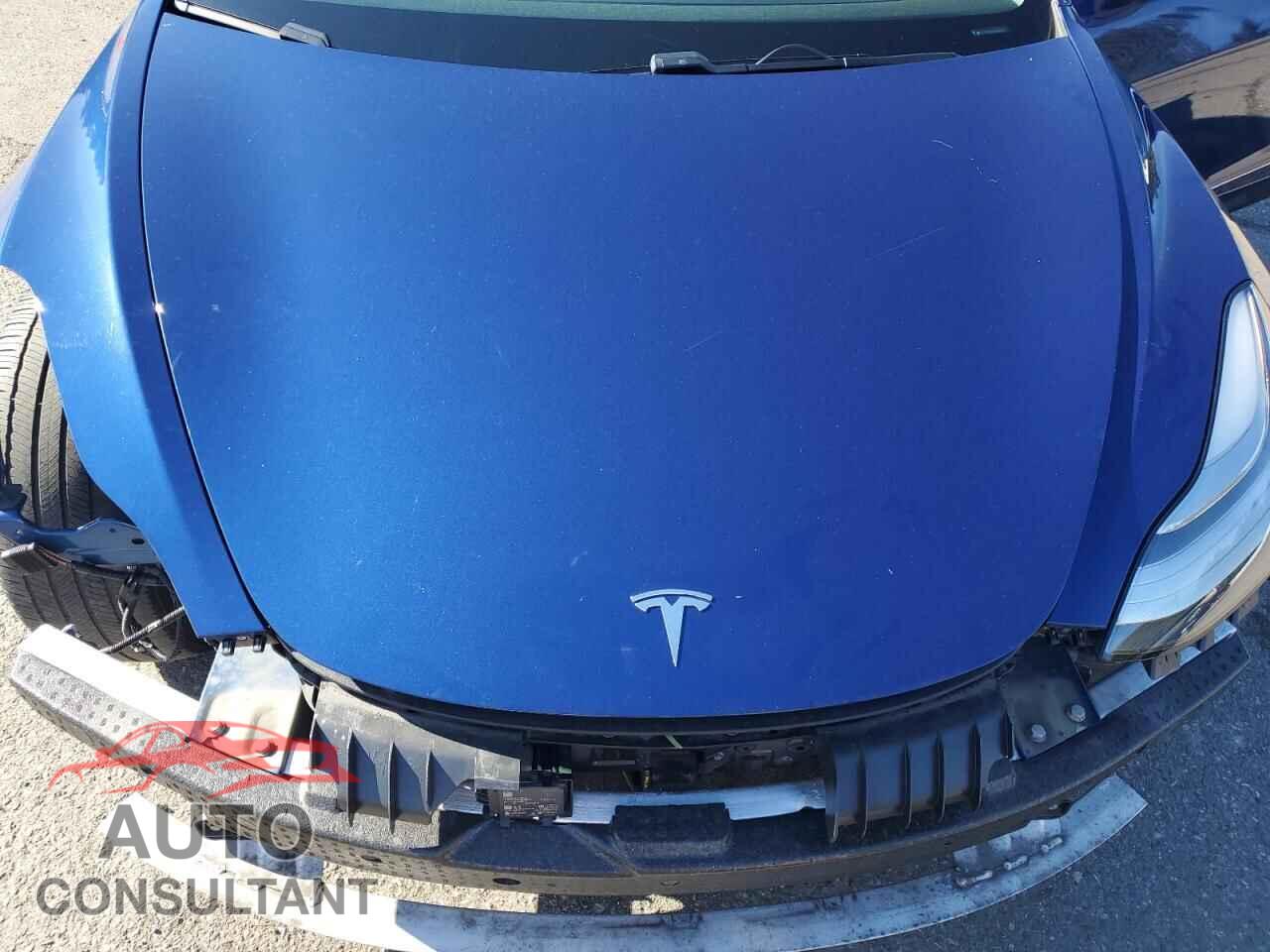 TESLA MODEL 3 2019 - 5YJ3E1EB6KF464879