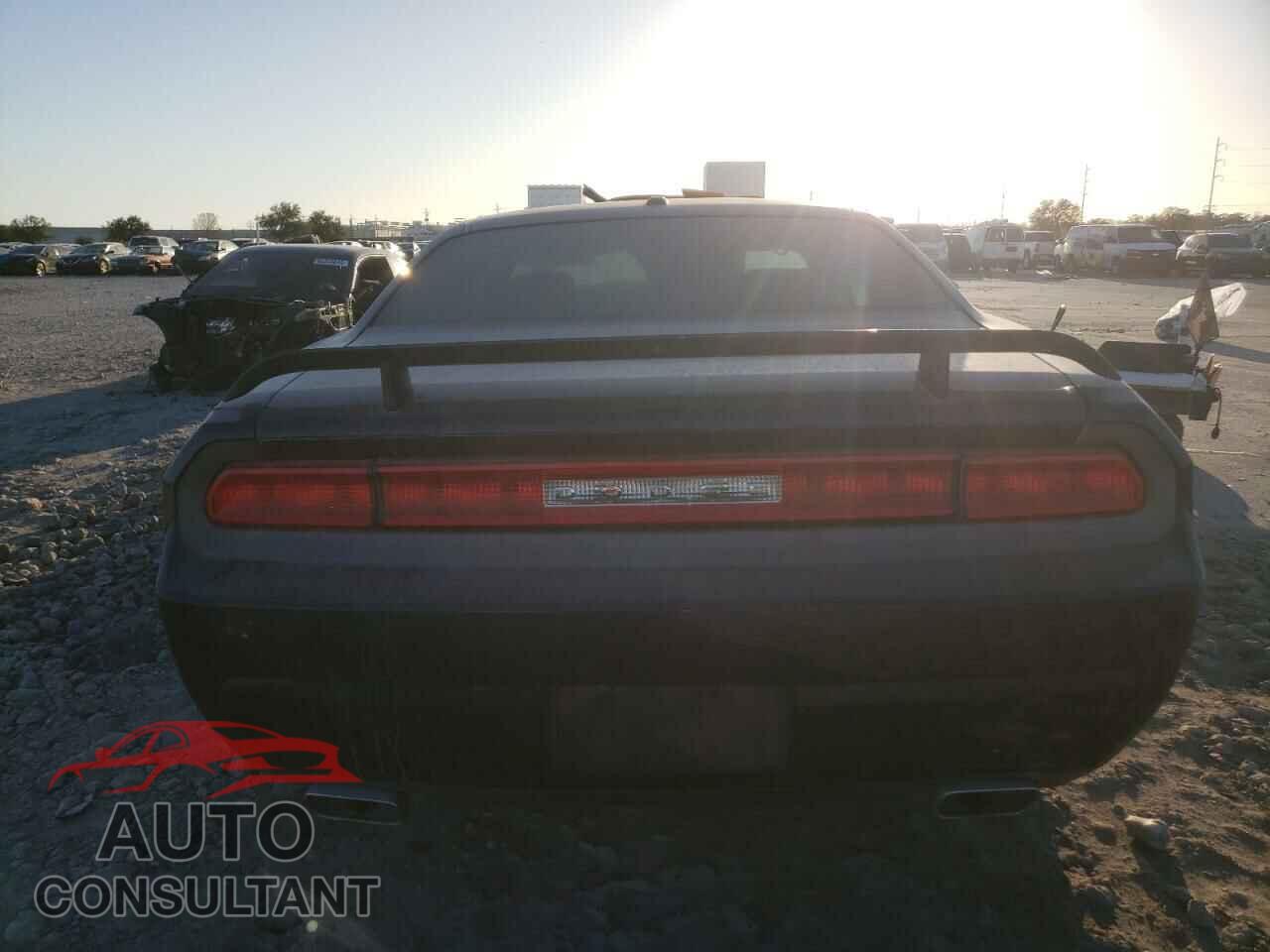 DODGE CHALLENGER 2013 - 2C3CDYBT1DH708951