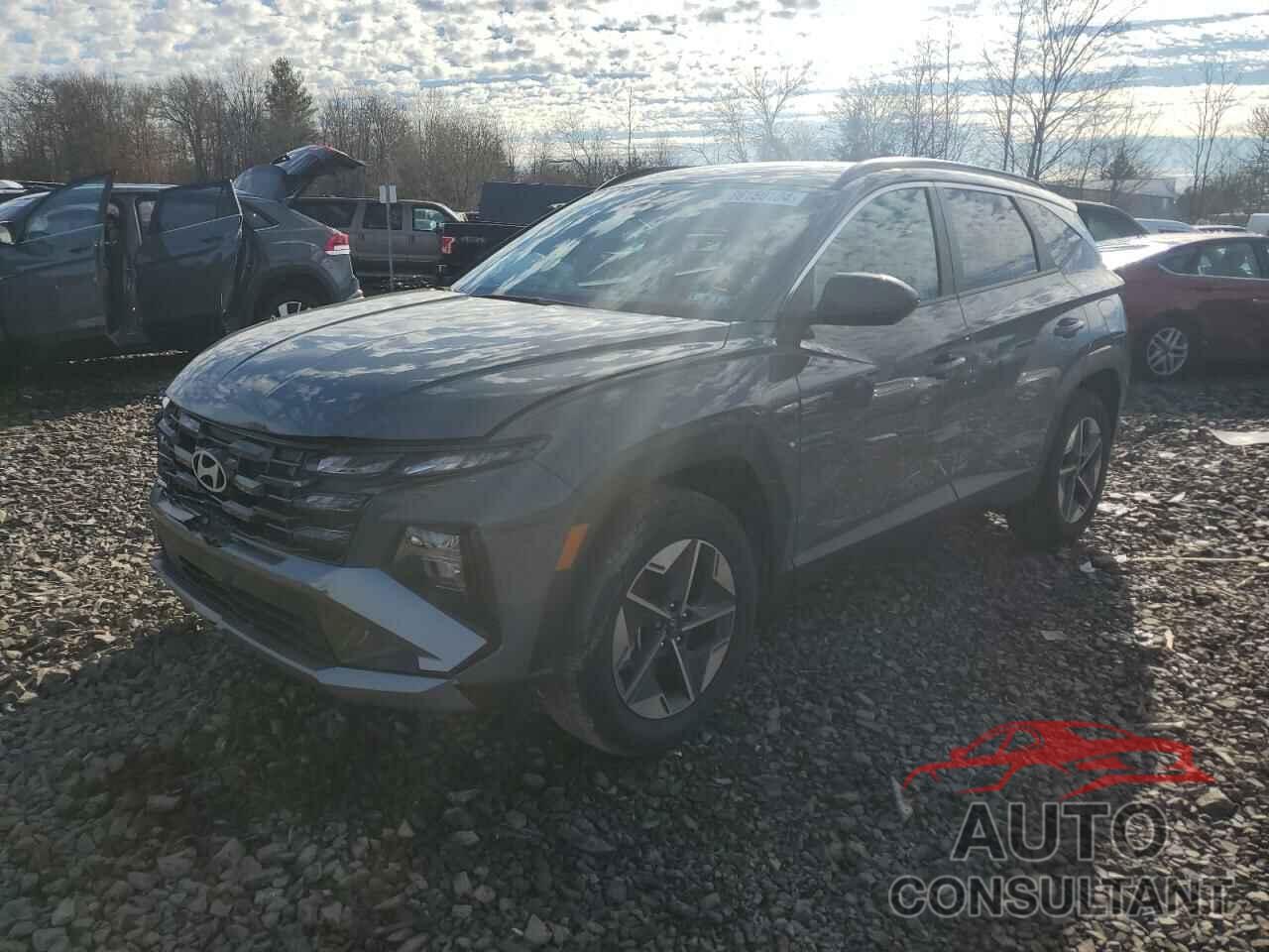 HYUNDAI TUCSON 2025 - 5NMJBCDE2SH500203