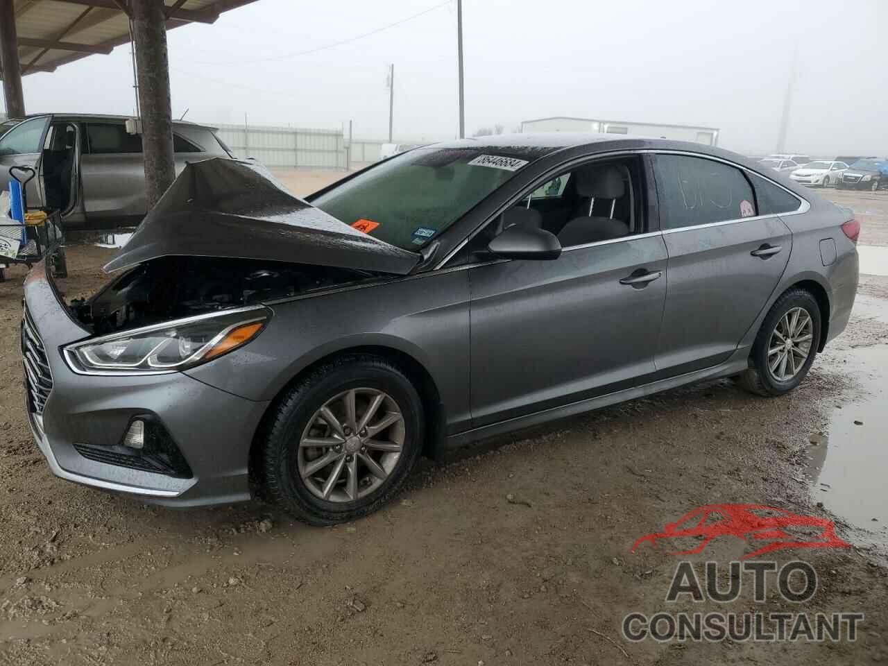HYUNDAI SONATA 2019 - 5NPE24AF1KH798489
