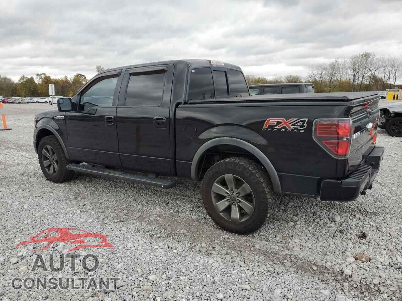 FORD F-150 2013 - 1FTFW1EF0DFD02029