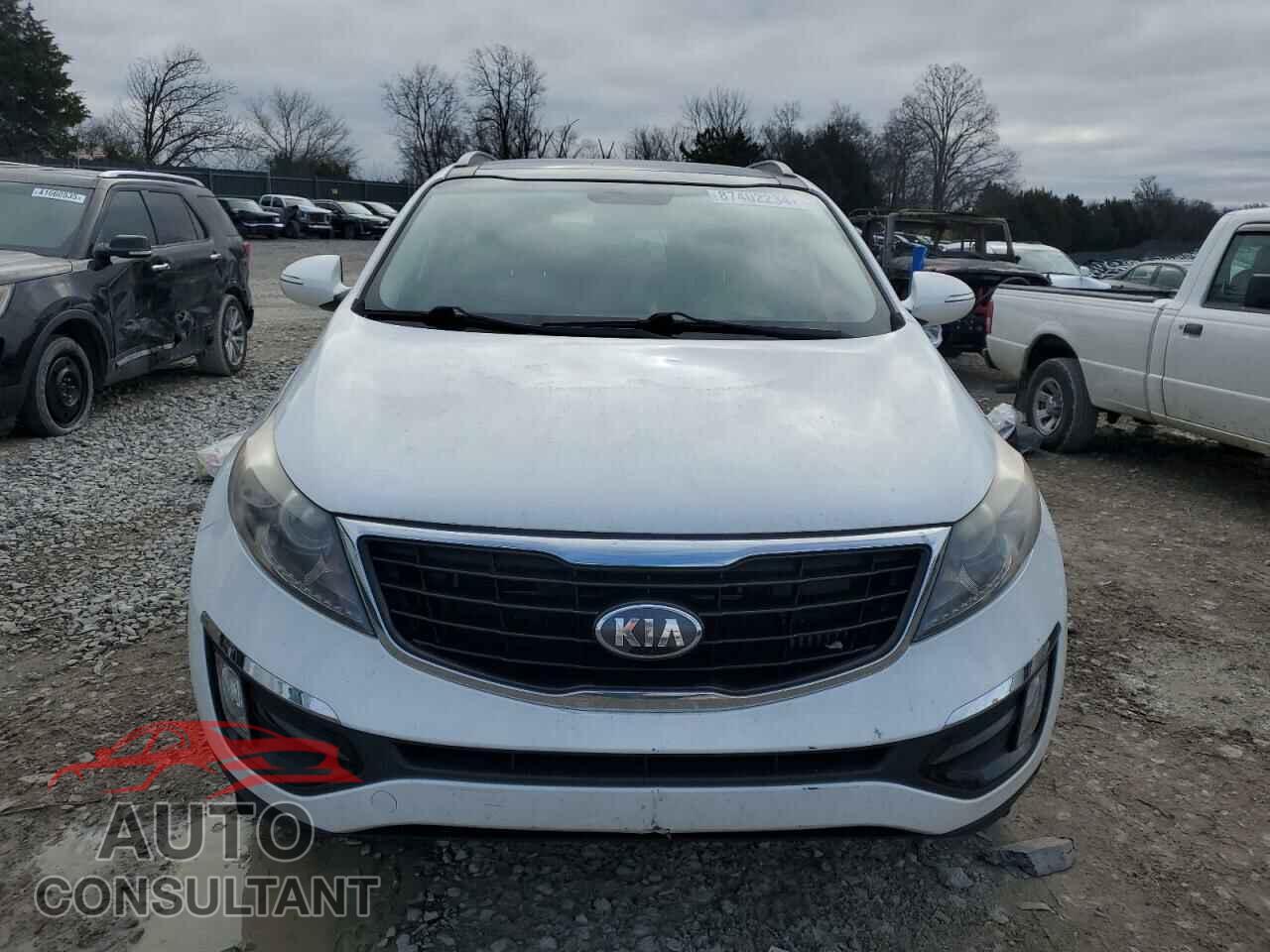 KIA SPORTAGE 2016 - KNDPC3A61G7816632