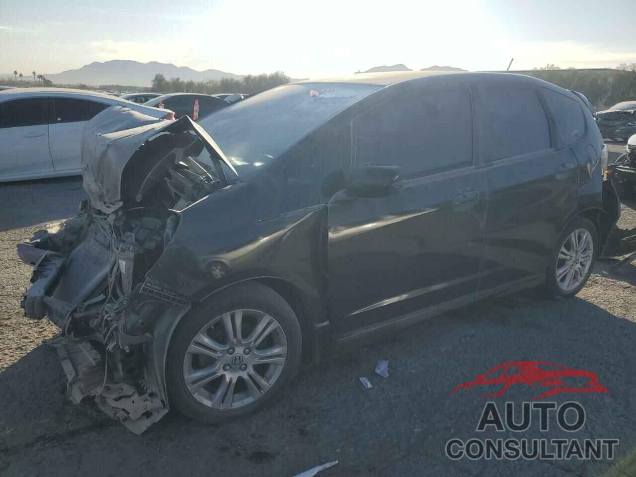 HONDA FIT 2011 - JHMGE8H55BS010785