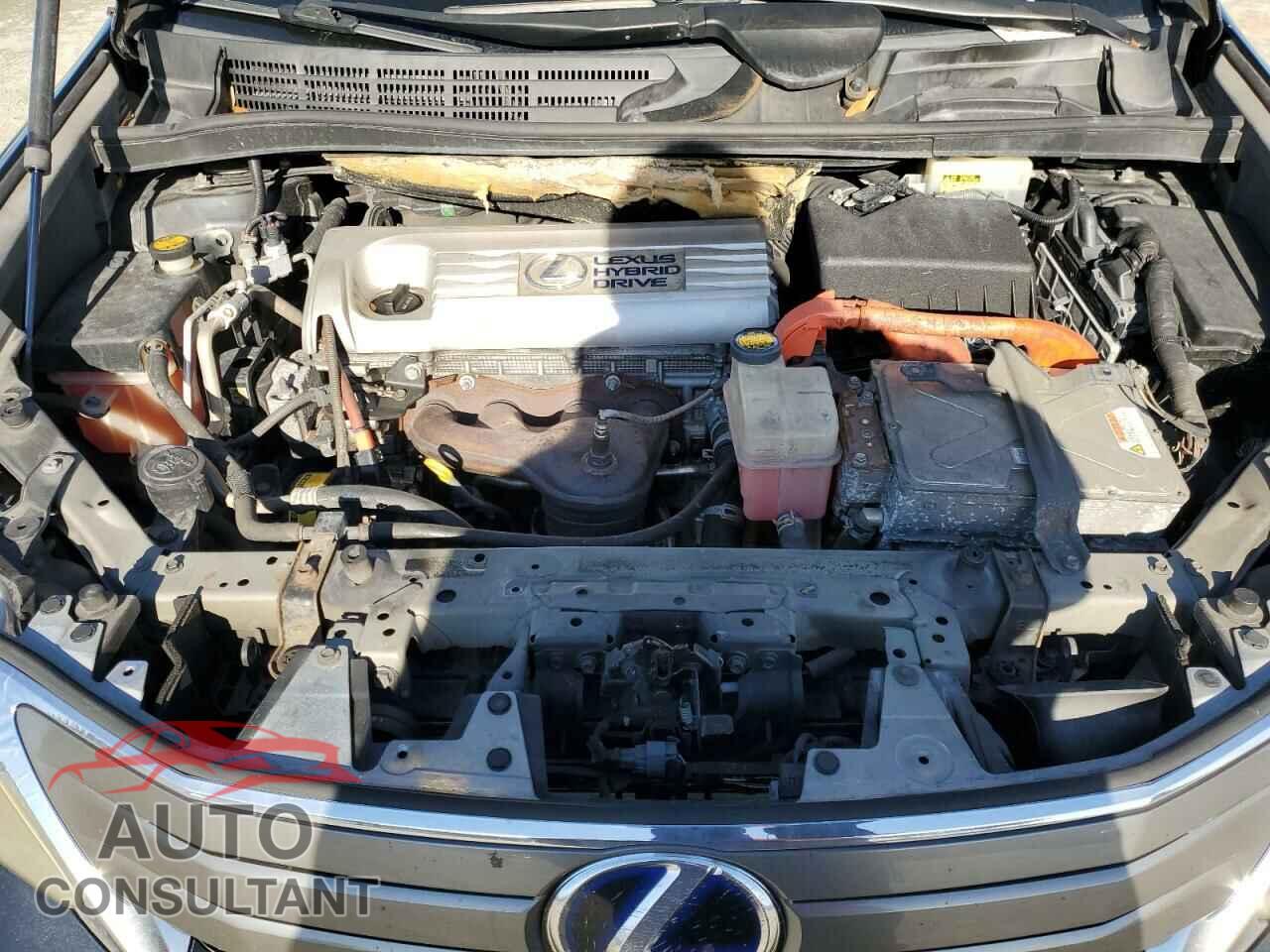 LEXUS HS 2010 - JTHBB1BA1A2021295