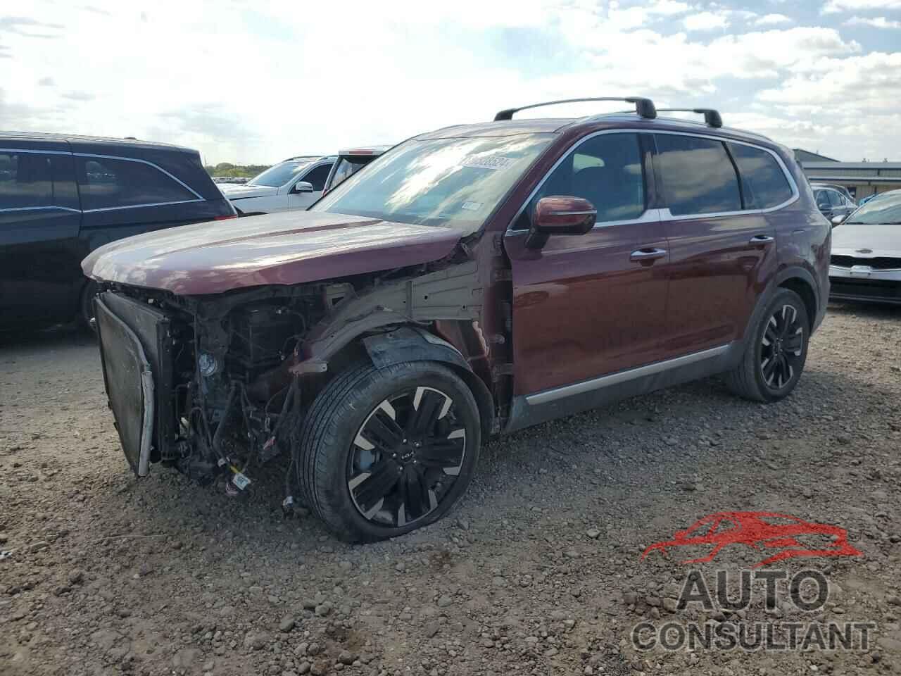 KIA TELLURIDE 2024 - 5XYP5DGC8RG445617