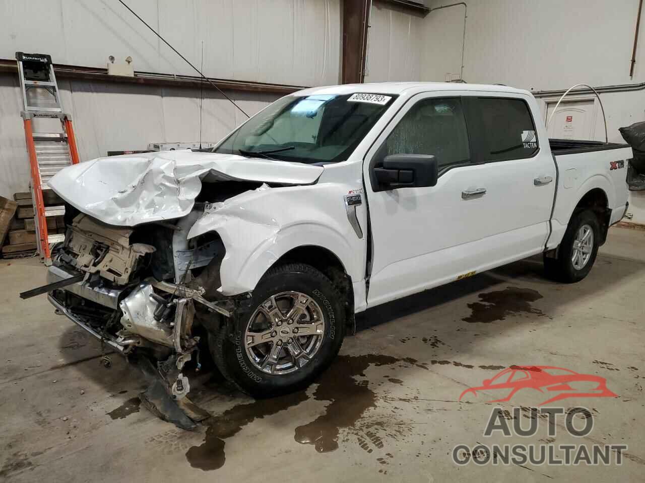 FORD F-150 2021 - 1FTFW1E89MFA17492