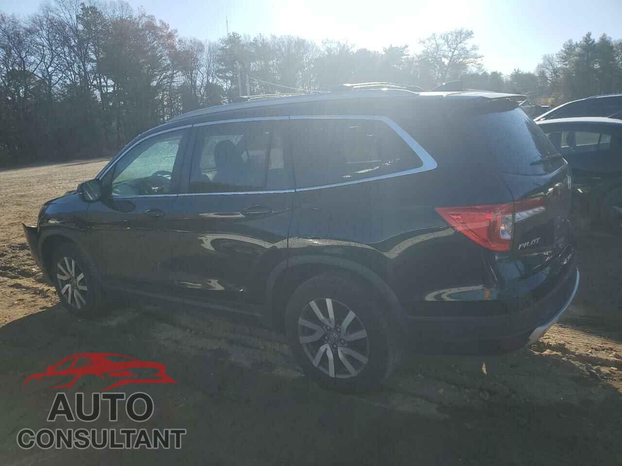 HONDA PILOT 2019 - 5FNYF6H57KB034252