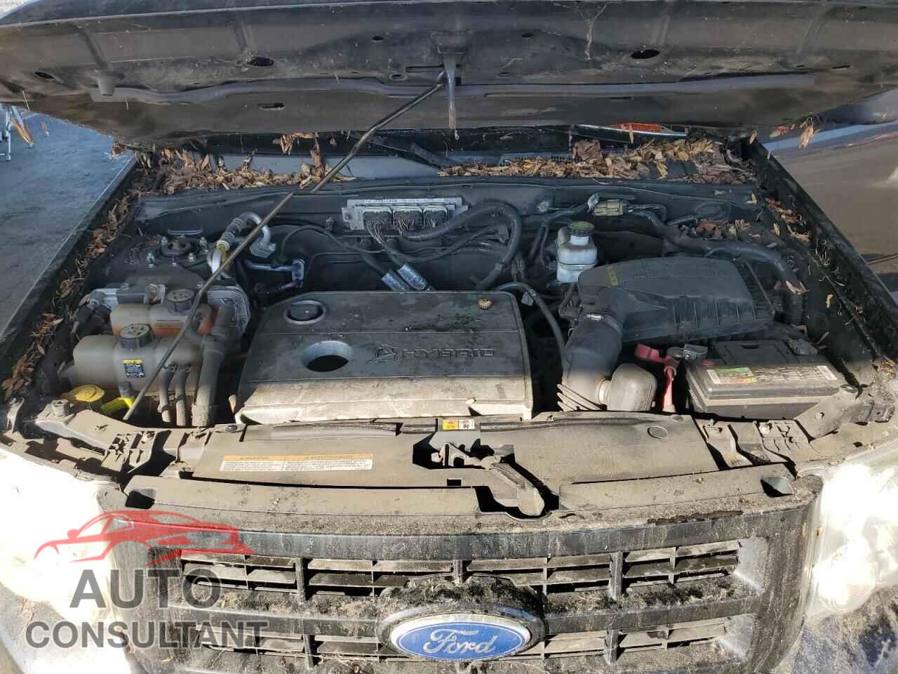 FORD ESCAPE 2011 - 1FMCU5K36BKB79864