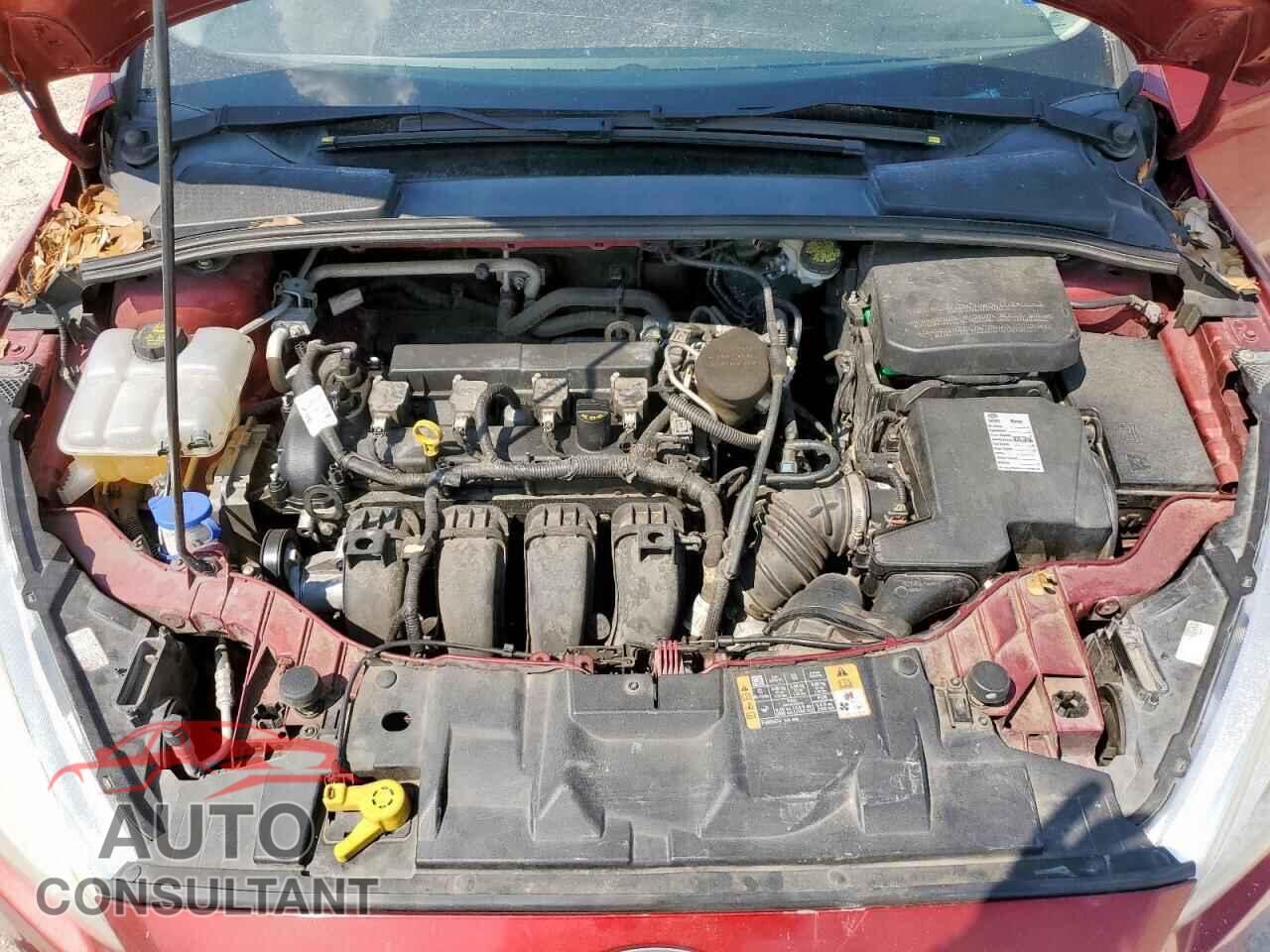 FORD FOCUS 2016 - 1FADP3F26GL252728