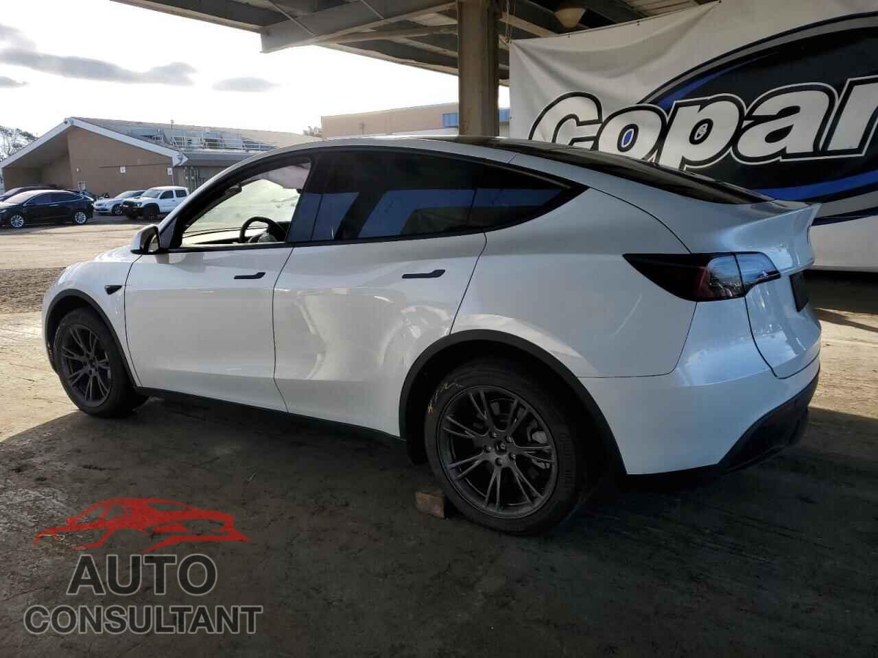 TESLA MODEL Y 2024 - 7SAYGDED3RF111452