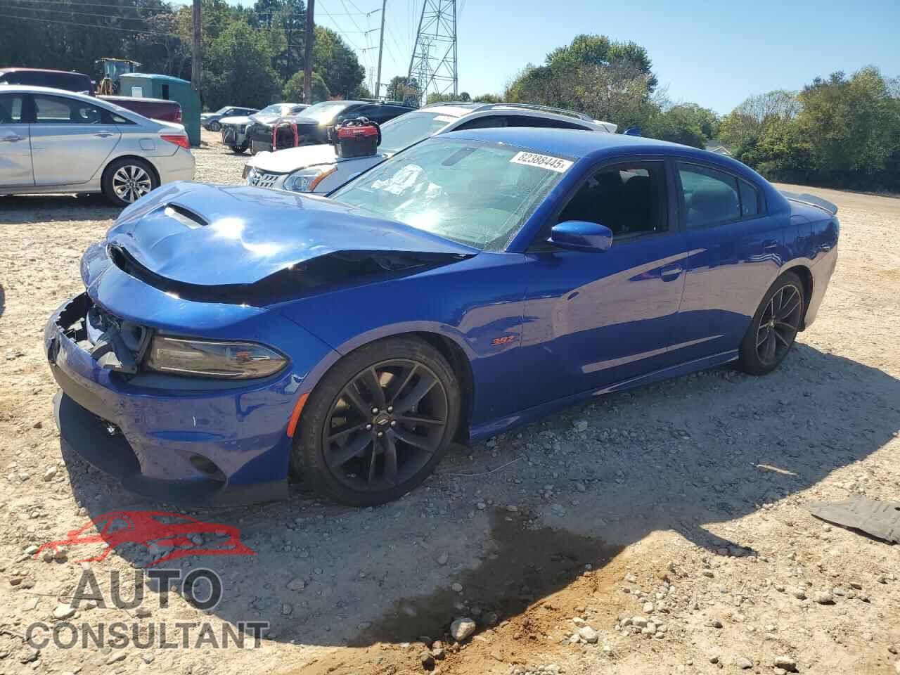 DODGE CHARGER 2019 - 2C3CDXGJ1KH530876
