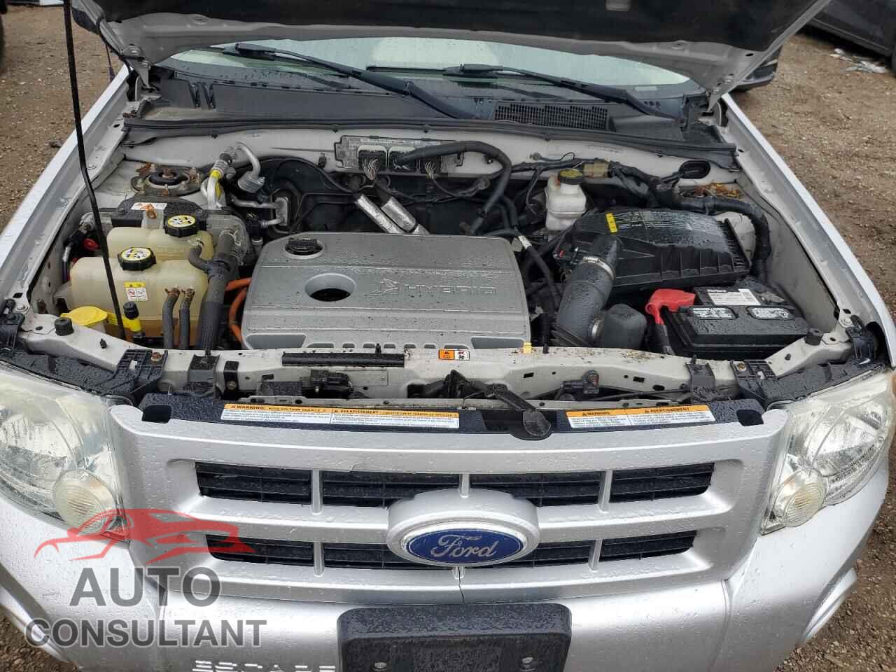 FORD ESCAPE 2010 - 1FMCU4K31AKB79439