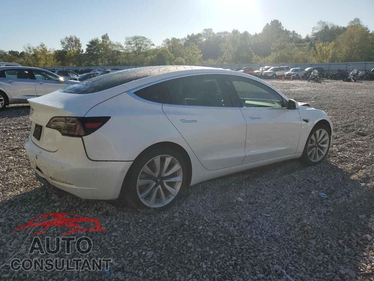 TESLA MODEL 3 2019 - 5YJ3E1EA7KF429436