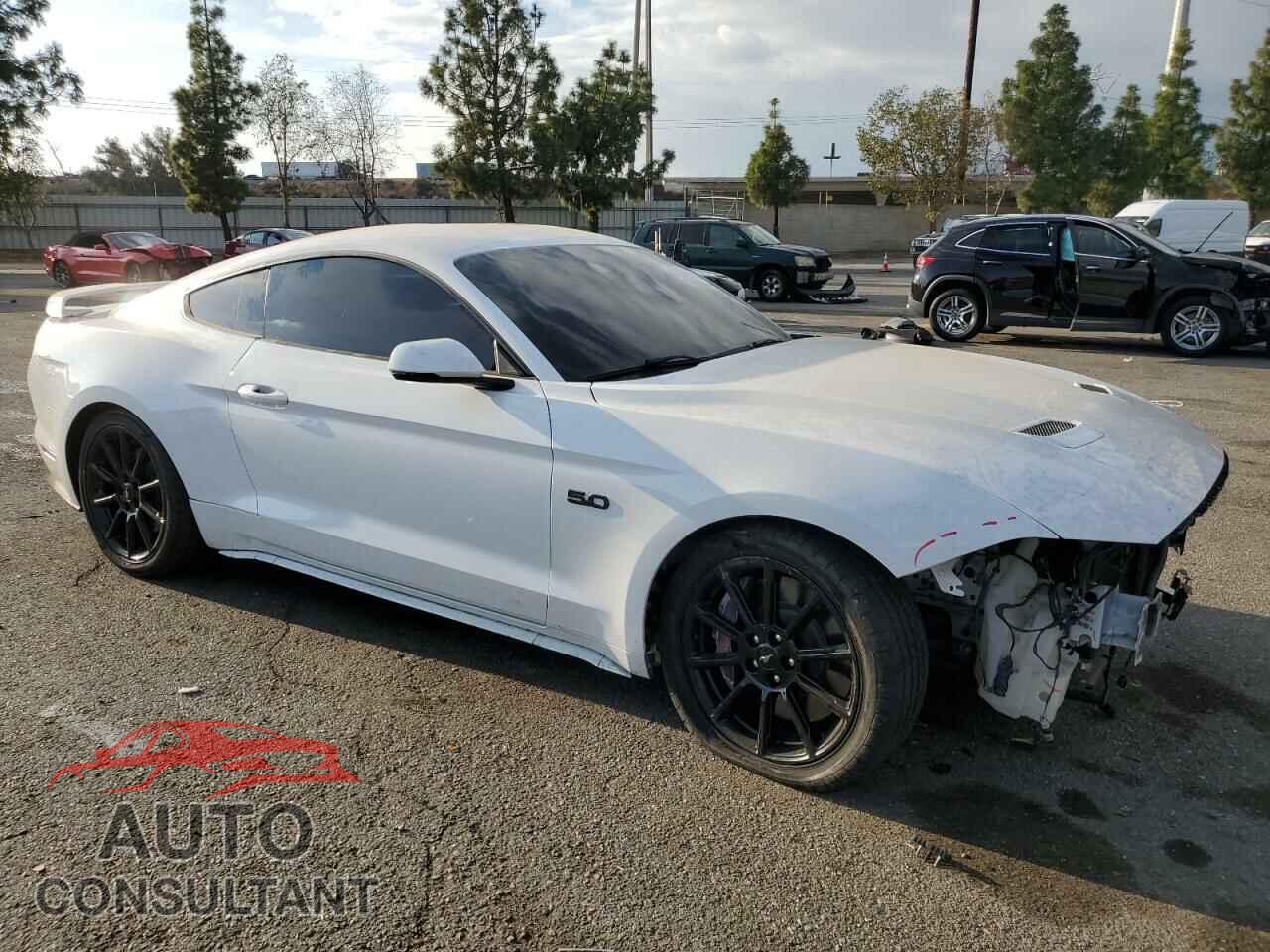 FORD MUSTANG 2019 - 1FA6P8CF4K5189736