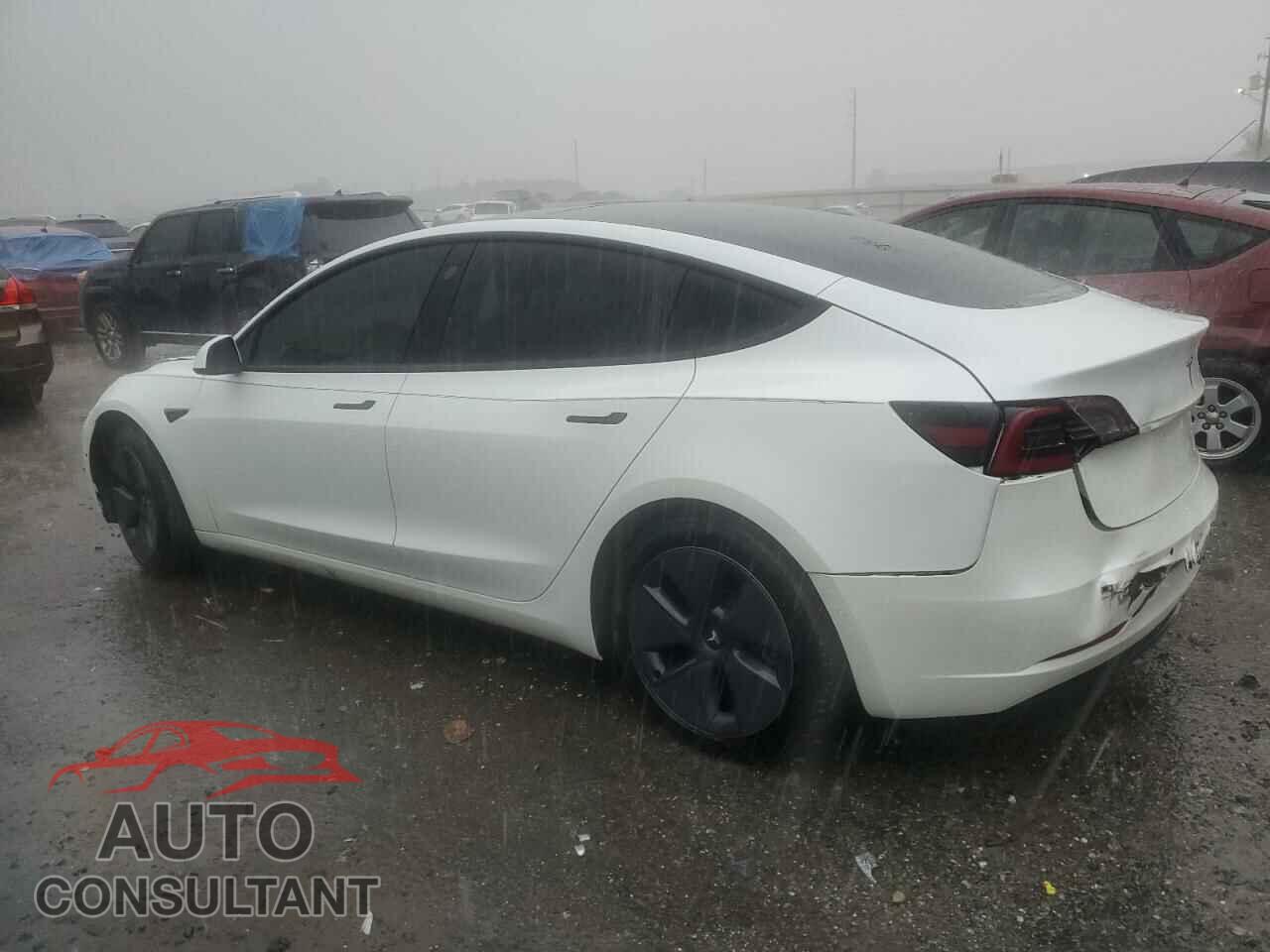 TESLA MODEL 3 2021 - 5YJ3E1EA9MF907911