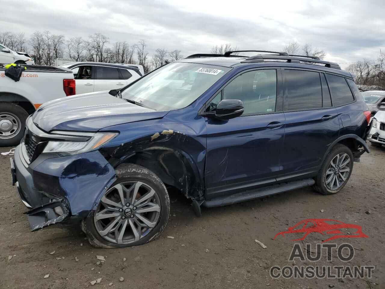 HONDA PASSPORT 2019 - 5FNYF8H04KB012449