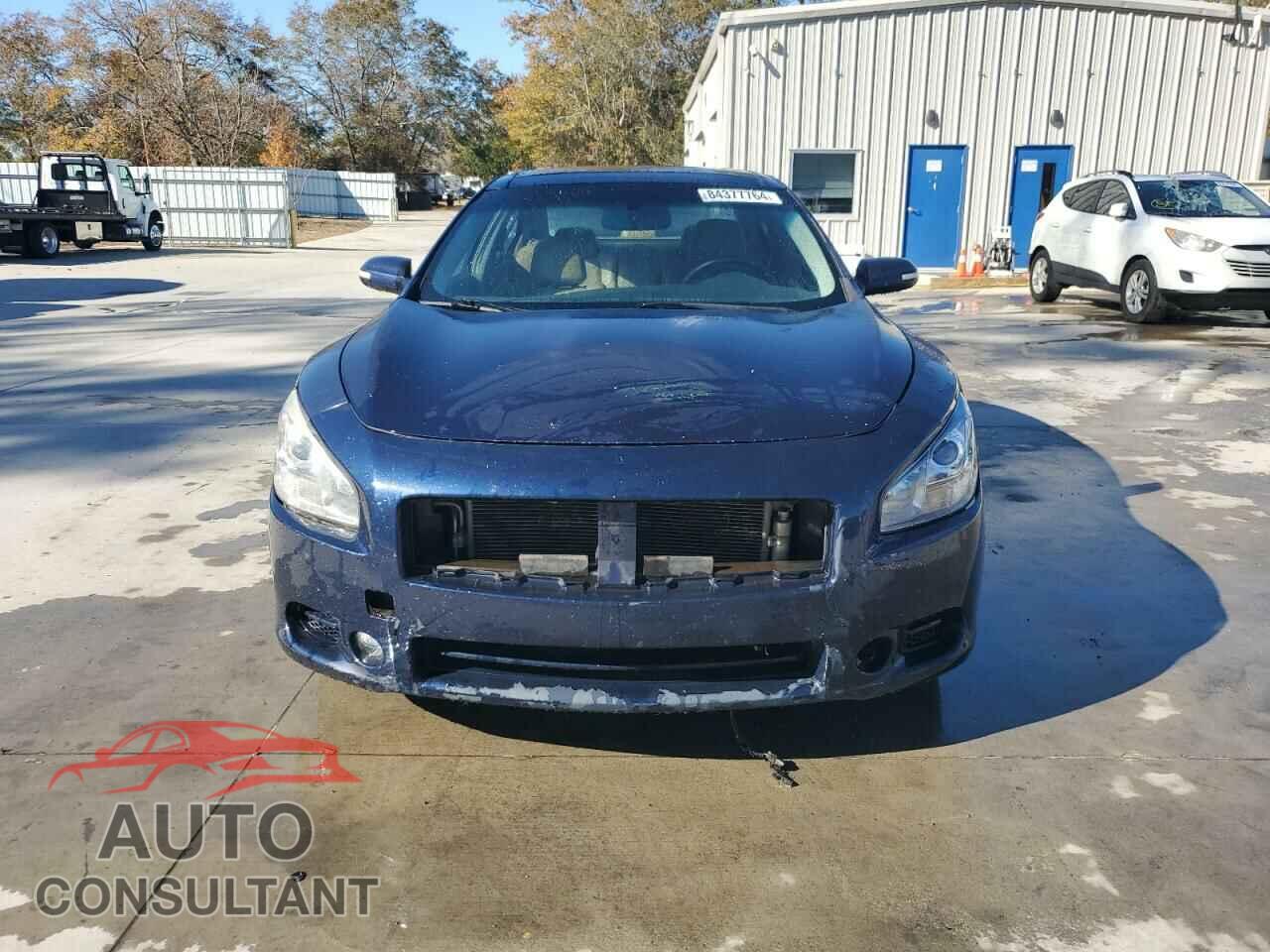 NISSAN MAXIMA 2009 - 1N4AA51E09C823957