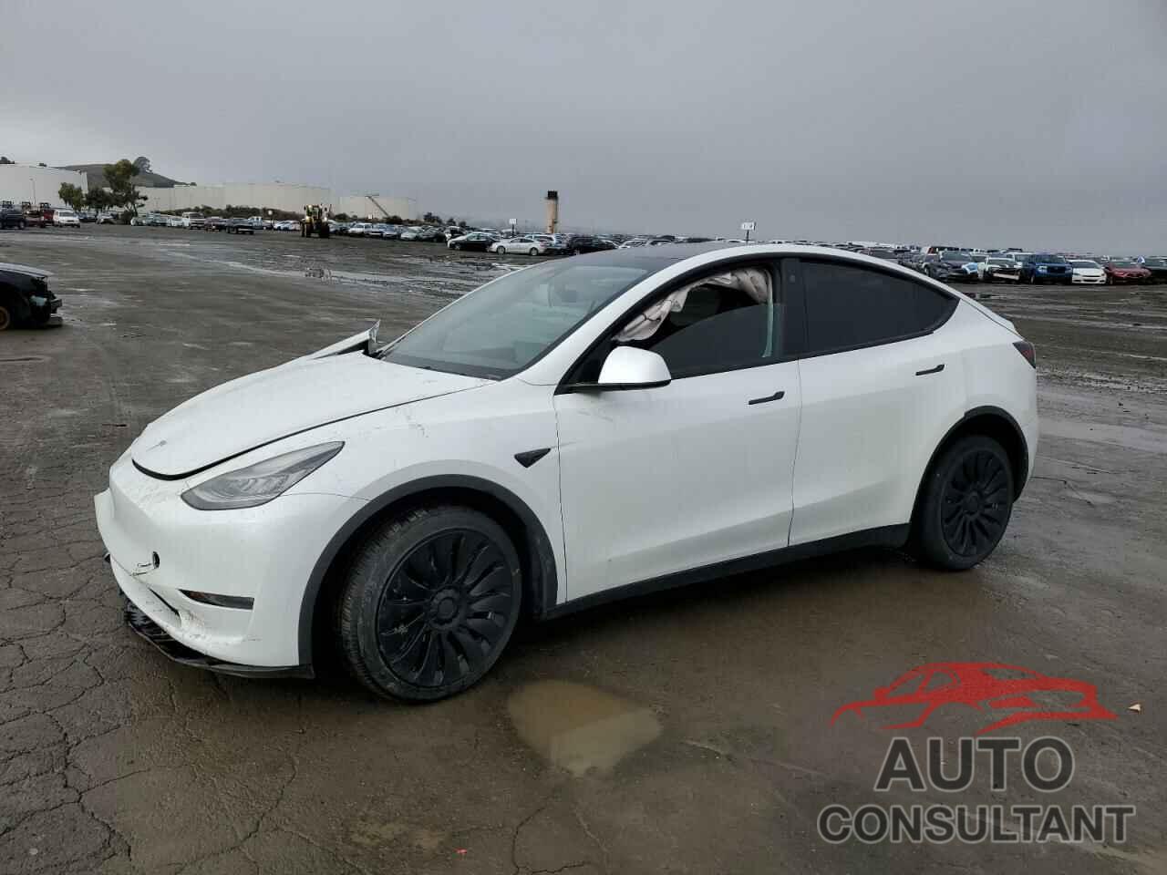 TESLA MODEL Y 2021 - 5YJYGDED5MF133930