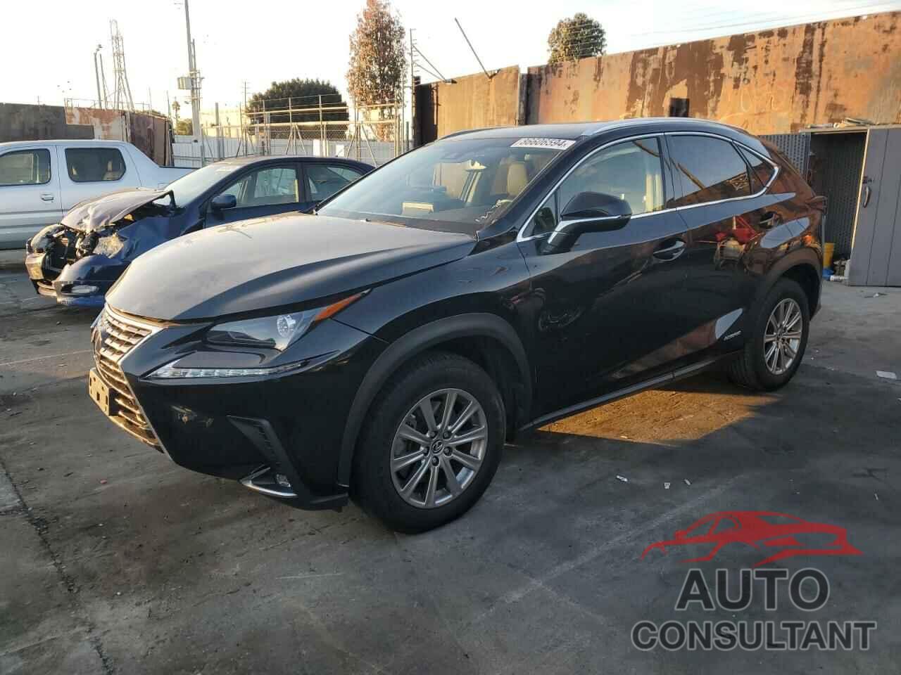 LEXUS NX 2019 - JTJBJRBZXK2101573