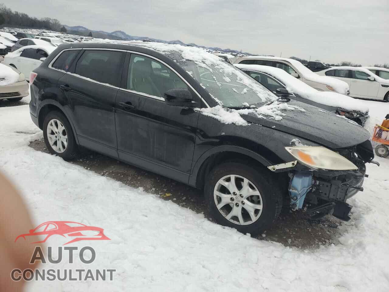 MAZDA CX-9 2011 - JM3TB2CA2B0321068